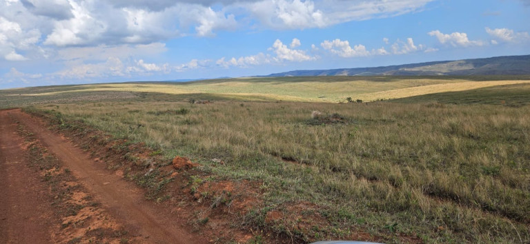 Imagem Imóvel à Venda, em Serra Da Canastra - Delfinópolis Imagem Imóvel à Venda, em Serra Da Canastra - Delfinópolis