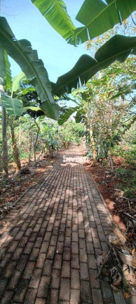 Imagem Chácara com 1 Quarto à Venda, 2.390 m² em Florata Condomínio Florestal - Santo Antônio De Goiás Imagem Chácara com 1 Quarto à Venda, 2.390 m² em Florata Condomínio Florestal - Santo Antônio De Goiás