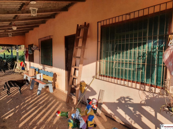 Imagem Imóvel com 3 Quartos à Venda, 120 m² em Zona Rural - Tapes Imagem Imóvel com 3 Quartos à Venda, 120 m² em Zona Rural - Tapes