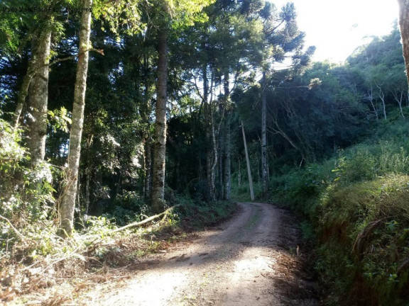 Imagem Terreno à Venda, 2 m² em Linha Imperial - Nova Petrópolis