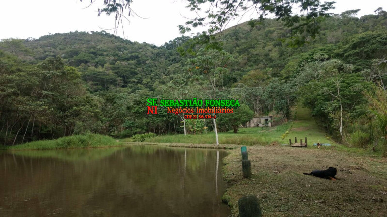 Imagem Chácara com 4 Quartos à Venda, 15 m² em Centro - Monteiro Lobato Imagem Chácara com 4 Quartos à Venda, 15 m² em Centro - Monteiro Lobato