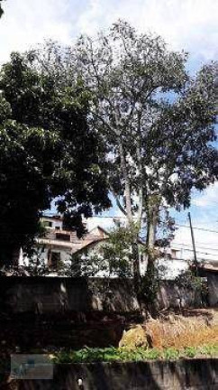 Imagem Terreno à Venda, 1.100 m² em Colônia - Ribeirão Pires Imagem Terreno à Venda, 1.100 m² em Colônia - Ribeirão Pires