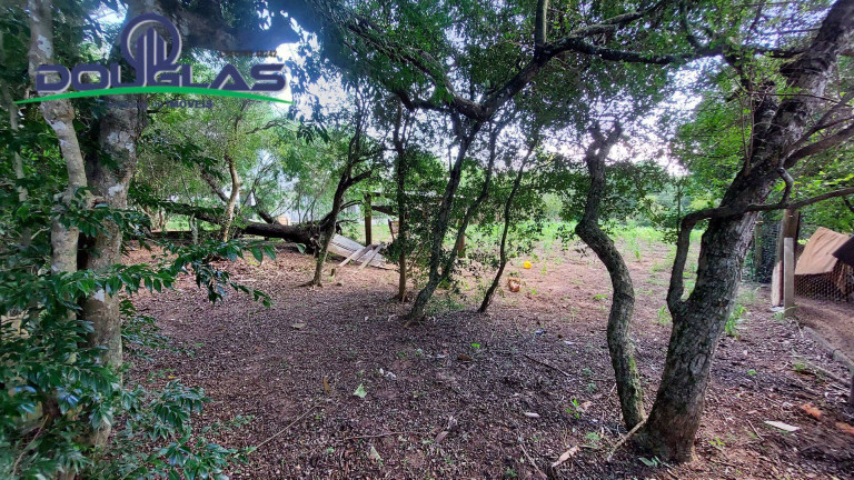 Imagem Terreno à Venda, em águas Claras - Viamão Imagem Terreno à Venda, em águas Claras - Viamão