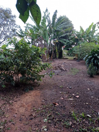 Imagem Casa com 3 Quartos à Venda, 1.020 m² em Jardim Centenário - Atibaia