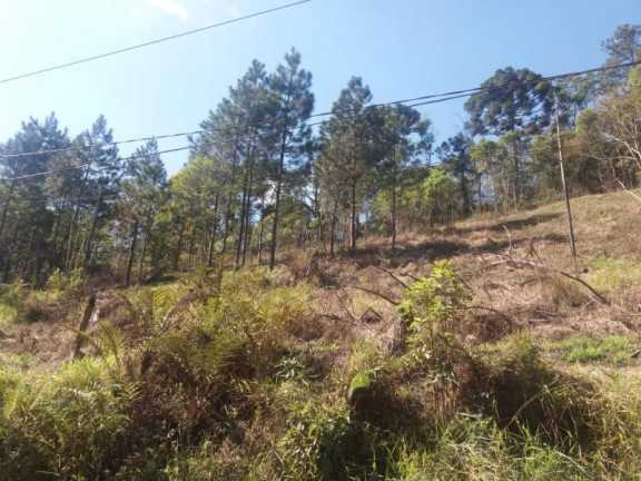 Imagem Terreno à Venda, 3.380 m² em Ouro Fino Paulista - Ribeirão Pires Imagem Terreno à Venda, 3.380 m² em Ouro Fino Paulista - Ribeirão Pires