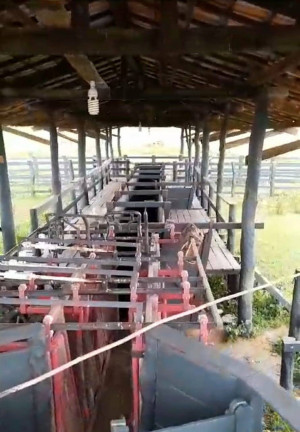 Imagem Fazenda à Venda, 8 m² em Poconé Imagem Fazenda à Venda, 8 m² em Poconé