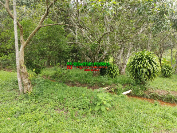 Imagem Chácara com 4 Quartos à Venda, 2.000 m² em Terra Seca - Paraibuna Imagem Chácara com 4 Quartos à Venda, 2.000 m² em Terra Seca - Paraibuna