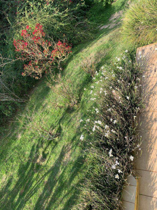 Imagem Fazenda à Venda, 34.464 m² em Piratuba - Piedade Imagem Fazenda à Venda, 34.464 m² em Piratuba - Piedade