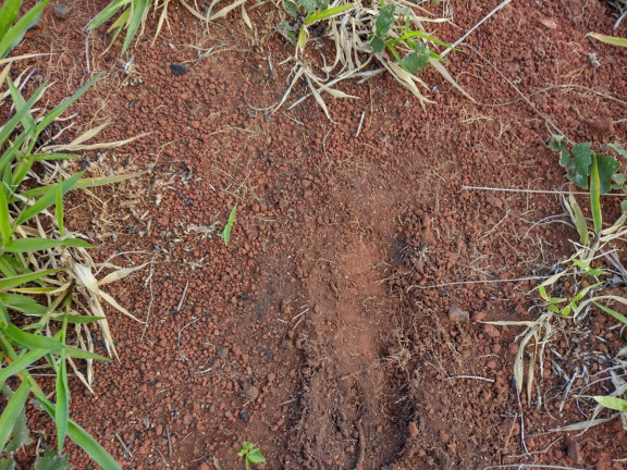 Imagem Fazenda à Venda, 2.698 m² em Rural - Itaporanga Imagem Fazenda à Venda, 2.698 m² em Rural - Itaporanga