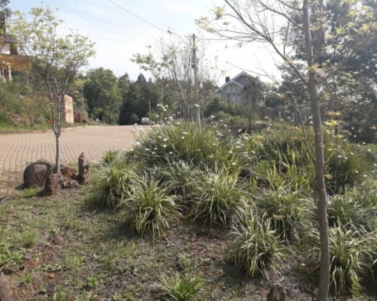 Imagem Casa com 4 Quartos à Venda, 348 m² em Pousada Da Neve - Nova Petrópolis