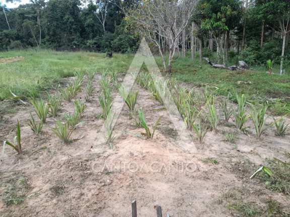 Imagem Terreno à Venda, 7 m² em Gleba Zumbi Dos Palmares - Cláudia Imagem Terreno à Venda, 7 m² em Gleba Zumbi Dos Palmares - Cláudia