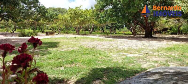 Imagem Chácara com 3 Quartos à Venda, 6 m² em Guanaces - Cascavel