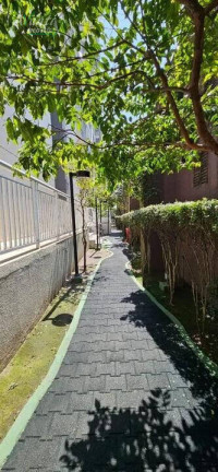 Imagem Apartamento com 2 Quartos à Venda, 57 m² em Vila Matias - Santos Imagem Apartamento com 2 Quartos à Venda, 57 m² em Vila Matias - Santos
