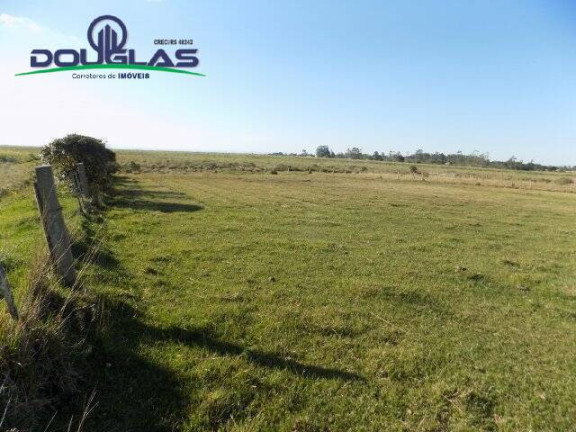 Imagem Chácara à Venda, 8 m² em águas Claras - Viamão Imagem Chácara à Venda, 8 m² em águas Claras - Viamão