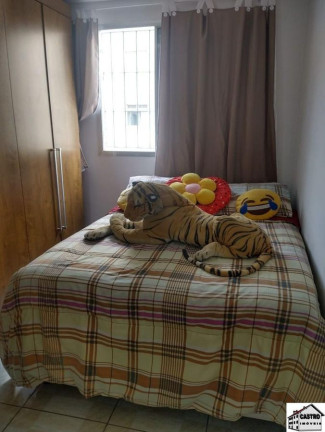 Imagem Apartamento com 2 Quartos à Venda, 48 m² em Conjunto Habitacional Padre Manoel De Paiva - São Paulo Imagem Apartamento com 2 Quartos à Venda, 48 m² em Conjunto Habitacional Padre Manoel De Paiva - São Paulo