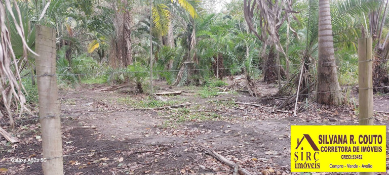 Imagem Terreno à Venda, 25 m² em Chácaras De Inoã (inoã) - Maricá Imagem Terreno à Venda, 25 m² em Chácaras De Inoã (inoã) - Maricá