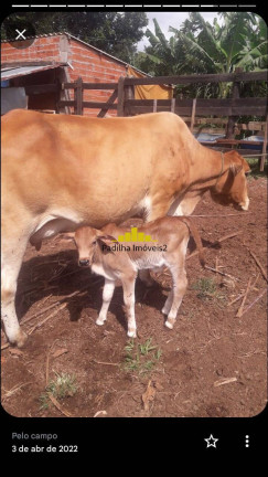 Imagem Chácara à Venda, 4 m² em Rural - Angatuba Imagem Chácara à Venda, 4 m² em Rural - Angatuba