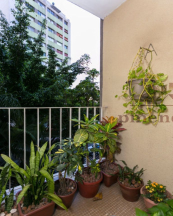 Imagem Apartamento com 2 Quartos à Venda, 73 m² em Higienópolis - São Paulo Imagem Apartamento com 2 Quartos à Venda, 73 m² em Higienópolis - São Paulo
