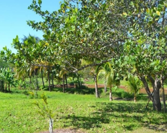 Imagem Imóvel à Venda,  em . - Tanguá