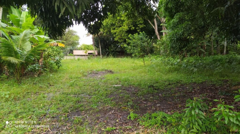 Imagem Terreno à Venda, 5.000 m² em Aldeia Dos Camarás - Camaragibe Imagem Terreno à Venda, 5.000 m² em Aldeia Dos Camarás - Camaragibe