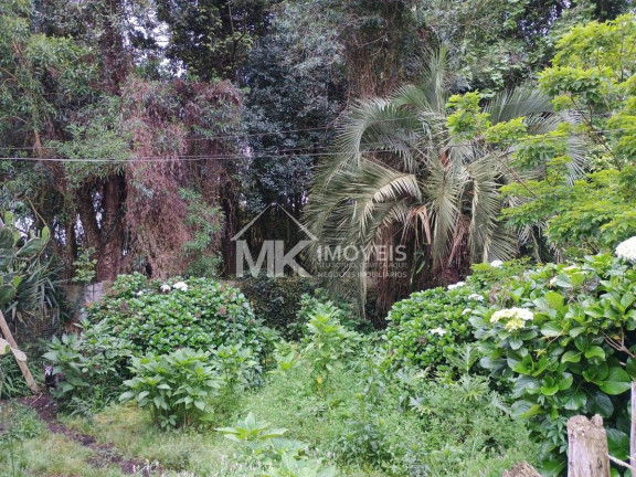 Imagem Terreno à Venda, em Vila Santa Maria - Piraquara Imagem Terreno à Venda, em Vila Santa Maria - Piraquara
