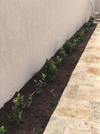 Imagem Casa com 4 Quartos à Venda, 180 m² em Solemar - Praia Grande