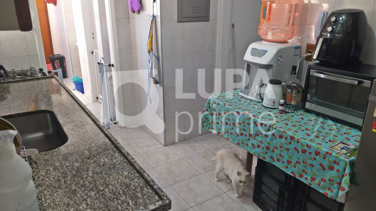 Imagem Apartamento com 3 Quartos à Venda, 90 m² em Tucuruvi - São Paulo Imagem Apartamento com 3 Quartos à Venda, 90 m² em Tucuruvi - São Paulo