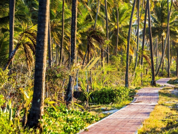 Imagem Imóvel à Venda, 630 m² em Praia Do Forte - Praia Do Forte Imagem Imóvel à Venda, 630 m² em Praia Do Forte - Praia Do Forte