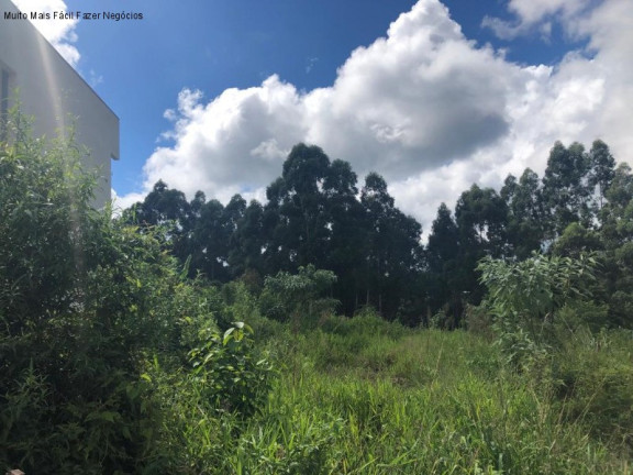 Terreno à Venda, 360 m² em Br 116 - Nova Petrópolis