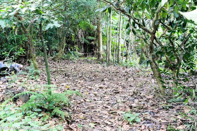 Imagem Terreno à Venda, 84.000 m² em Vargem Pequena - Rio De Janeiro Imagem Terreno à Venda, 84.000 m² em Vargem Pequena - Rio De Janeiro