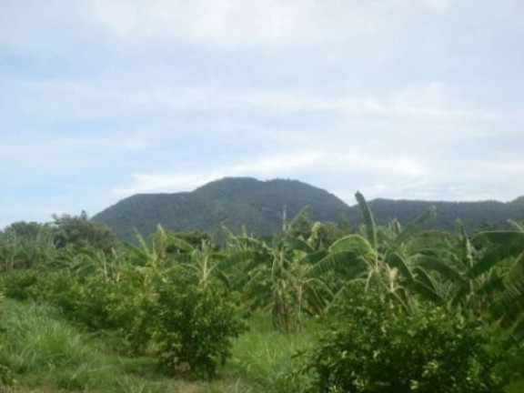 Imagem Terreno à Venda, 48.400 m² em Ponta Negra - Maricá Imagem Terreno à Venda, 48.400 m² em Ponta Negra - Maricá