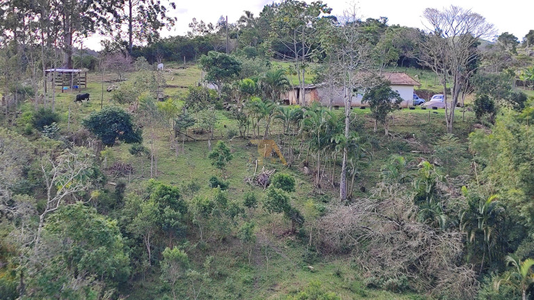 Imagem Fazenda à Venda, em Canguiri - Imaruí Imagem Fazenda à Venda, em Canguiri - Imaruí