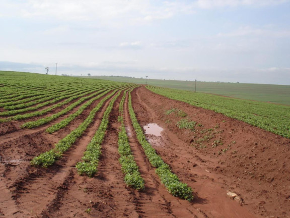Imagem Fazenda à Venda, 351 m² em Rural - Rancharia Imagem Fazenda à Venda, 351 m² em Rural - Rancharia