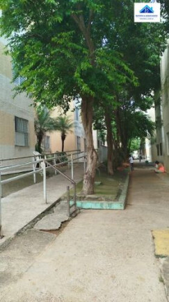Imagem Apartamento com 2 Quartos à Venda, 47 m² em Residencial Sírius - Campinas