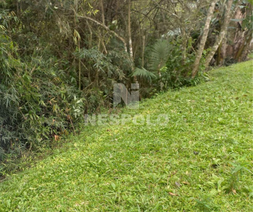 Imagem Terreno à Venda, em Fidélis - Blumenau Imagem Terreno à Venda, em Fidélis - Blumenau