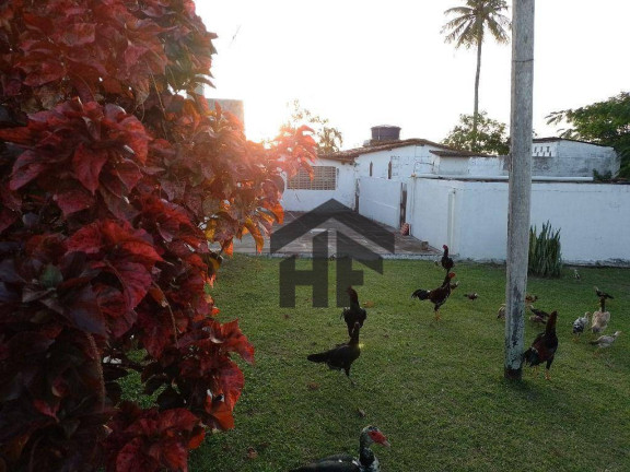 Imagem Terreno à Venda, 800 m² em Zona Rural - Tracunhaém Imagem Terreno à Venda, 800 m² em Zona Rural - Tracunhaém