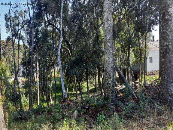 Imagem Terreno à Venda, 811 m² em Germânia - Nova Petrópolis Imagem Terreno à Venda, 811 m² em Germânia - Nova Petrópolis