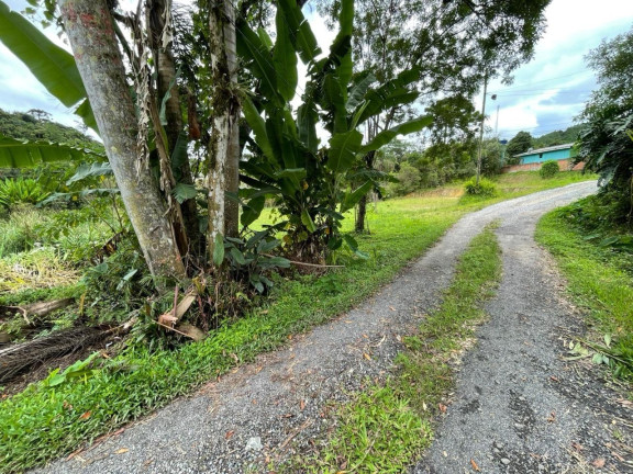 Imagem Terreno à Venda, 893 m² em Paiol De Baixo - Campina Grande Do Sul - Campina Grande Do Sul Imagem Terreno à Venda, 893 m² em Paiol De Baixo - Campina Grande Do Sul - Campina Grande Do Sul