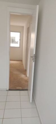Imagem Apartamento com 2 Quartos à Venda, 49 m² em Parque Bom Retiro - Paulínia