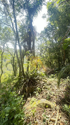 Imagem Terreno à Venda, em Encantada - Garopaba Imagem Terreno à Venda, em Encantada - Garopaba