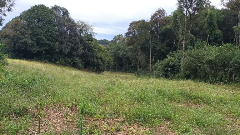 Imagem Fazenda à Venda, em Zona Rural - Araucaria Imagem Fazenda à Venda, em Zona Rural - Araucaria