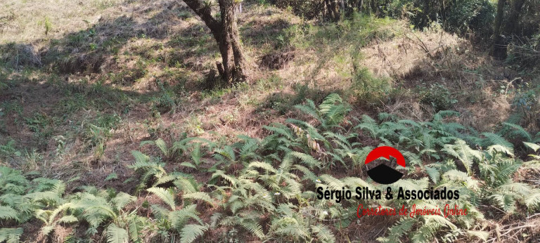 Imagem Terreno à Venda, 1 m² em Alto Do Boa Vista - Campos Do Jordão Imagem Terreno à Venda, 1 m² em Alto Do Boa Vista - Campos Do Jordão