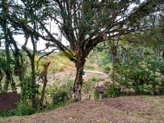 Imagem Fazenda à Venda, 64.288 m² em Barra Avencal - Rio Dos Cedros Imagem Fazenda à Venda, 64.288 m² em Barra Avencal - Rio Dos Cedros