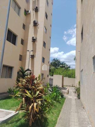 Imagem Apartamento com 3 Quartos à Venda, 59 m² em Dirceu I - Teresina