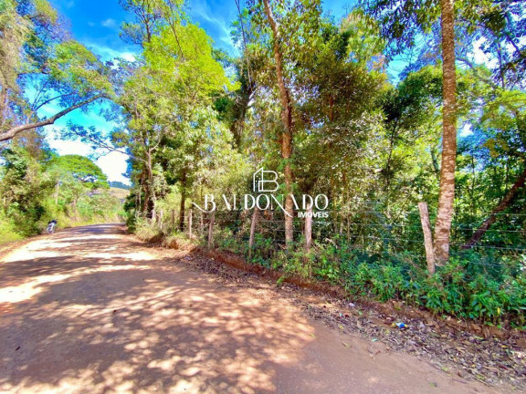 Imagem Imóvel com 2 Quartos à Venda, 12.000 m² em Centro - Munhoz Imagem Imóvel com 2 Quartos à Venda, 12.000 m² em Centro - Munhoz