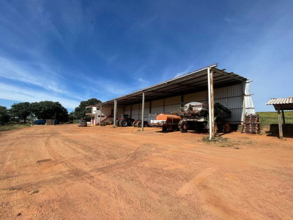 Imagem Fazenda à Venda, 1.530 m² em Zona Rural - Caldas Novas Imagem Fazenda à Venda, 1.530 m² em Zona Rural - Caldas Novas