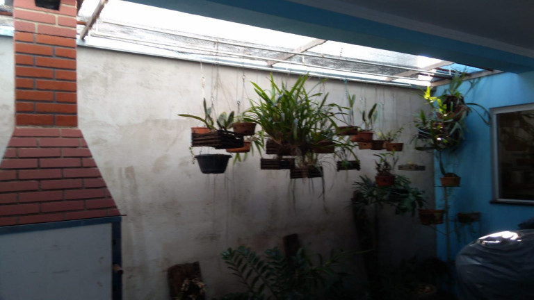 Imagem Imóvel com 3 Quartos à Venda, 290 m² em Nossa Senhora De Fátima - Piracicaba Imagem Imóvel com 3 Quartos à Venda, 290 m² em Nossa Senhora De Fátima - Piracicaba
