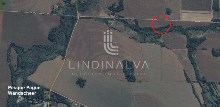 Imagem Fazenda à Venda, 10.649 m² em Cognópolis - Foz Do Iguacu