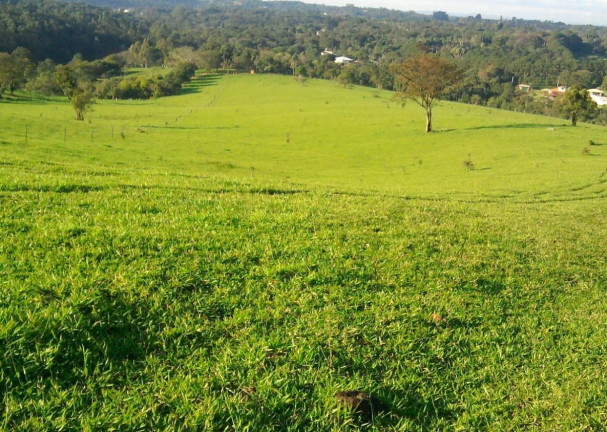 Imagem Fazenda à Venda, 250.000 m² em Guacuri - Itupeva Imagem Fazenda à Venda, 250.000 m² em Guacuri - Itupeva