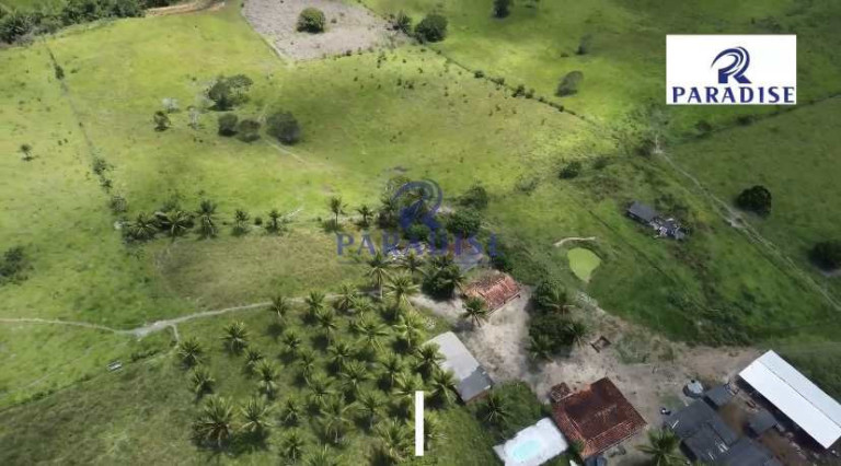 Imagem Fazenda à Venda, 766.000 m² em Zona Rural - Cardeal Da Silva Imagem Fazenda à Venda, 766.000 m² em Zona Rural - Cardeal Da Silva